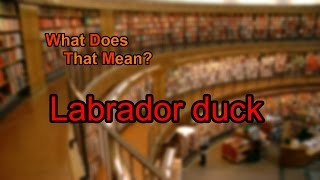 What does Labrador duck mean?