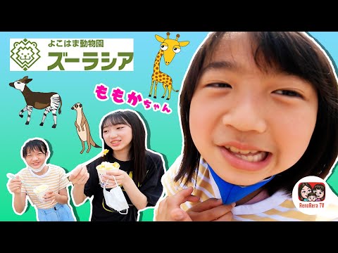 NEWS - もこにゃん もこにゃん🐾にこにゃん on X: 