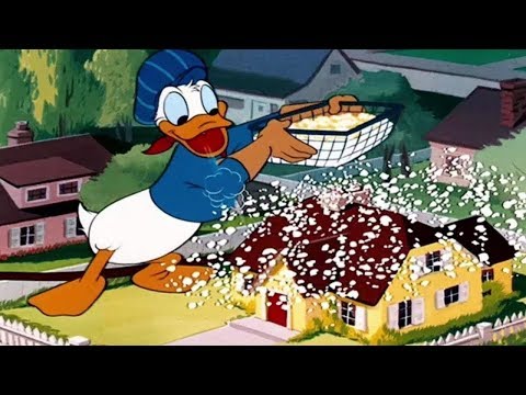 ᴴᴰ Pato Donald y Chip y Dale dibujos animados - Pluto, Mickey Mouse Episodios Completos Nuevo 2018