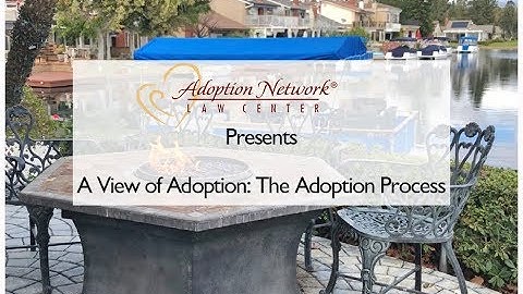 A View of Adoption - Adoption Process