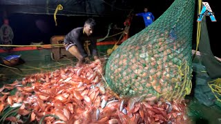 Amazing Big Catch on The Sea - Catching and Processing Hundreds