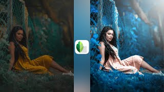 Snapseed Soft blue tone photo editing | Blue tone photo editing | Snapseed photo editing screenshot 3