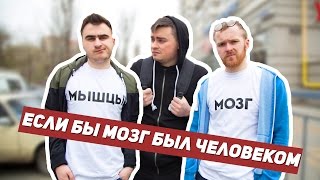 ЕСЛИ БЫ МОЗГ БЫЛ ЧЕЛОВЕКОМ