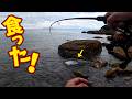 Youtube16年間やって来て初めての試みです
