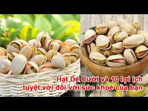 Video: Tại Sao Hạt Dẻ Cười Hữu ích Cho Cơ Thể