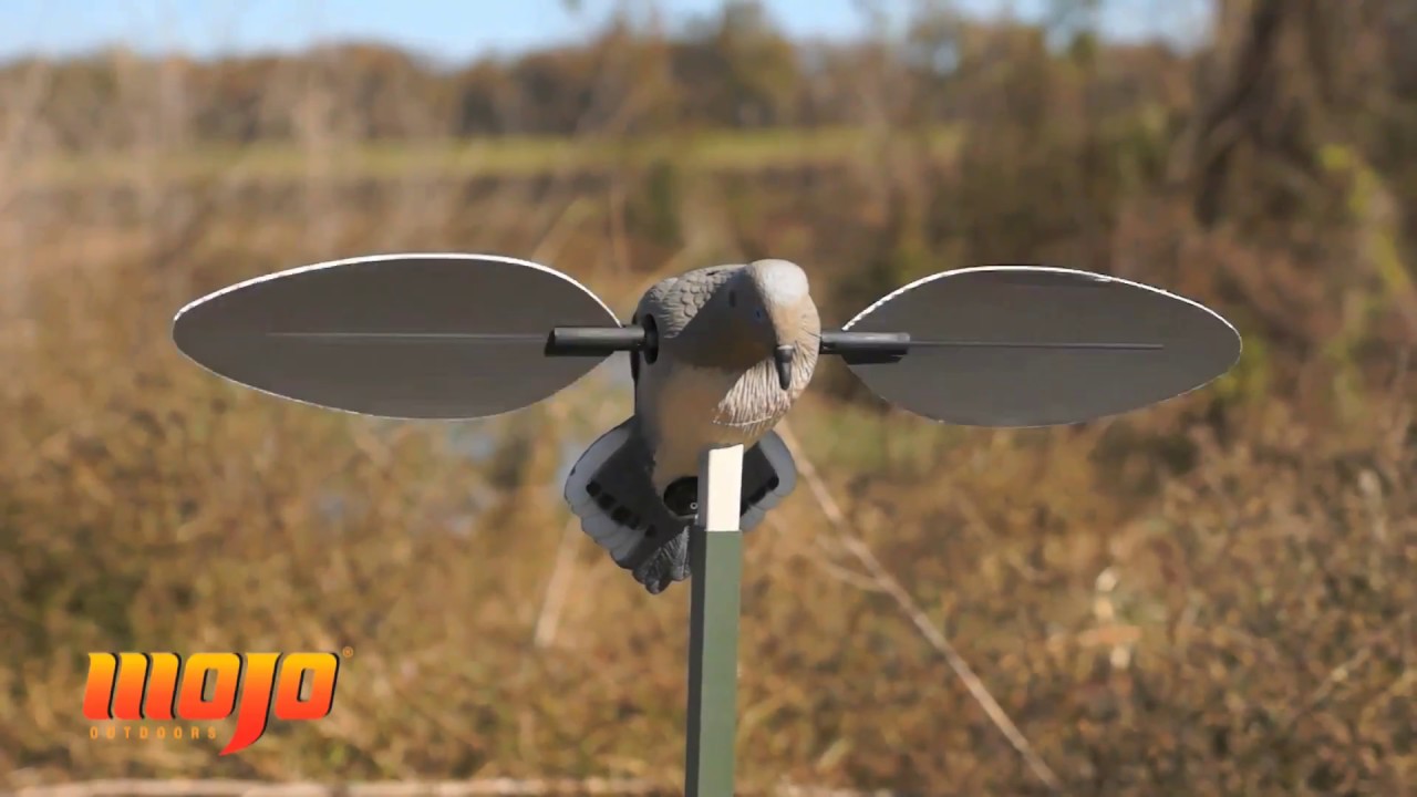Motion Dove Decoy for Hunting Mojo Outdoors Voodoo Dove Decoy