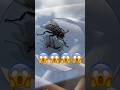 #capcut #keşfet #funny #ytdayibenionecikarnolur #keşfetbeniöneçıkar #youtubeshorts