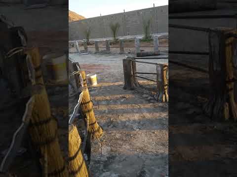 كيفية عمل جزوع الأشجار با الاسمنت نادى محمد حماد النزلاوى