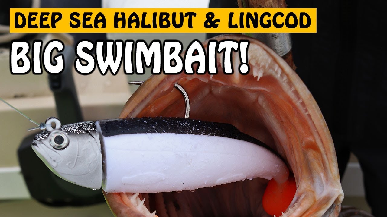 Deep Sea Fishing for Halibut and Lingcod with BIG SWIMBAITS