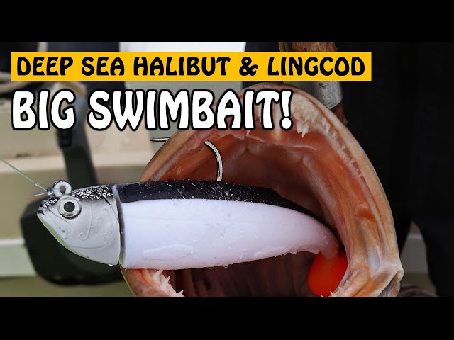 Deep Sea Fishing for Halibut and Lingcod with BIG SWIMBAITS