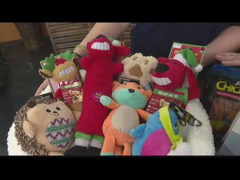 christmas-gift-ideas-for-pets
