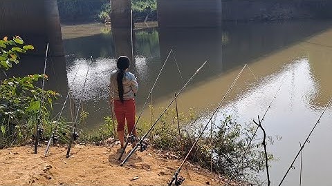 Tập 3 ( trải nghiệm câu cá sông bé ..Bãi câu toàn là cá xác thiên nhiên......Toàn 67 vlog.