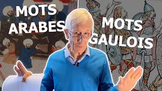 Mots gaulois et mots arabes du français