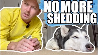 My Husky STOPPED SHEDDING When I Used This... by Sixty Formula 15,940 views 1 year ago 9 minutes, 17 seconds