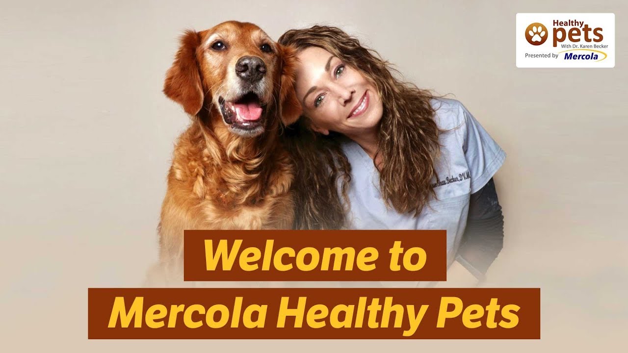 dr becker mercola healthy pets