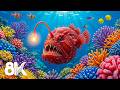 Unseen Surreal Deep Ocean Fish in 8K - Underwater World, Marine Life &amp; Sea Animals