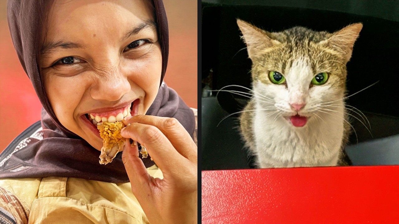 Идеальное свидание