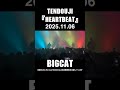 TENDOUJI『HEARTBEAT』 #bigcat