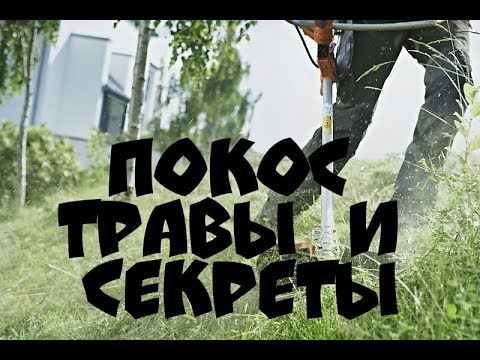 Вопрос: Как заработать деньги на покосе газонов?