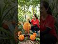 Harvest 1000+ Kg Of Palm Pineapple Goes to market sell #short