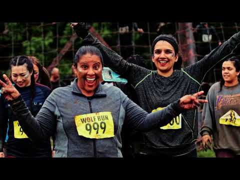 WOLF RUN -