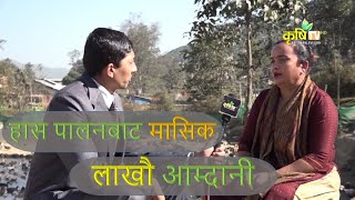 हास पालनबाट मासिक लाखौ आम्दानी // समृद्ध किसन