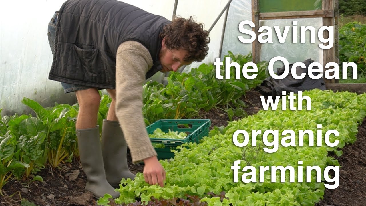 Saving the Ocean #3 Fergal Smith: The positive impact of organic farming