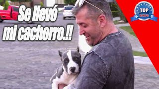 FRANKY MOSTRO LO VOLVIO A HACER by TOP SHOW CANINO 3,291 views 5 months ago 8 minutes, 52 seconds