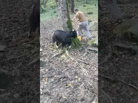 ۲۸ اکتبر ۲۰۲۵