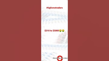 flipped $310 to $5000 in over 4 days