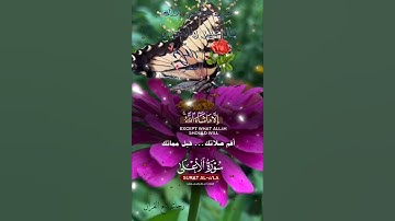 تلاوة خاشعة عطرة مباركة جميلة عذبة للشيخ ماهر المعيقلي ماتيسر من سورة الأعلى