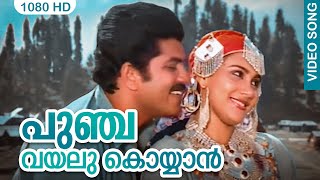 പുഞ്ച വയലു കൊയ്യാന്‍ പോണവളേ HD | Punchavayalu Koyyan | Nair Saab | Malayalam Film Song | Mammootty