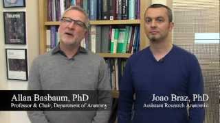 A New Strategy for Treating Neuropathic Pain