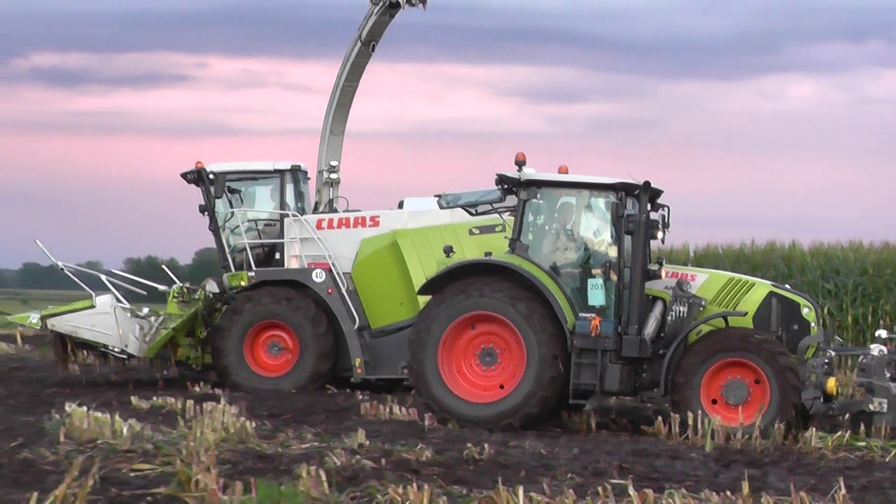 Maishäckseln 2017 im Moor mit ein Claas Jaguar 980 DP