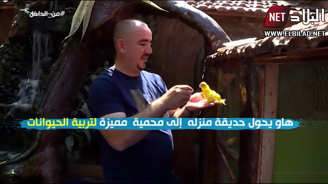 هاو يحول حديقة منزله إلى محمية مميزة لتربية الحيوانات بتيزي وزو.. شاهدوا