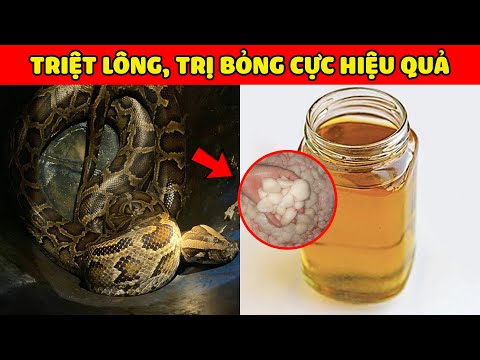 Video: Hạt trăn có ăn được không?