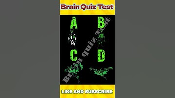 Test Your Memory Power : Guess The correct one ! | Memory Test Challenge #viral #shorts