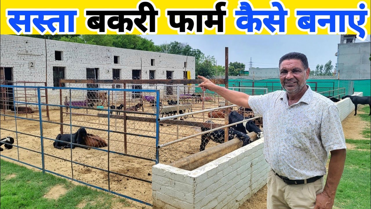 कम खर्चे में बकरी फार्म कैसे बनाएं | Goat farm shed kaise banaye