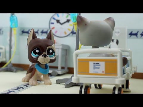 Littlest Pet Shop : Die(t) [Episode #12 : Open your eyes]