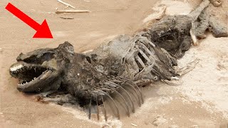 The Most Mysterious Animals Ever Discovered