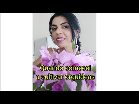QUANDO COMECEI A CULTIVAR ORQUÍDEAS?