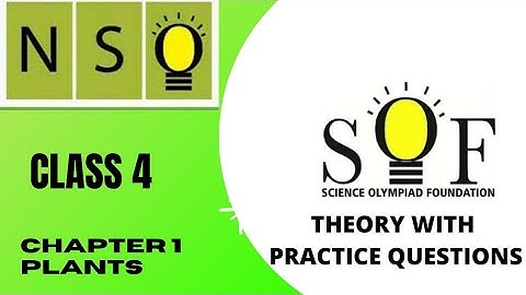 class 4 olympiad | NSO chapter 1 plants | Science olympiad for class 4