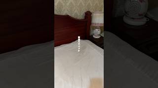 【まとめ】最後までいろいろ起きたなぁ。ラオスの旅もいよいよ最終日。