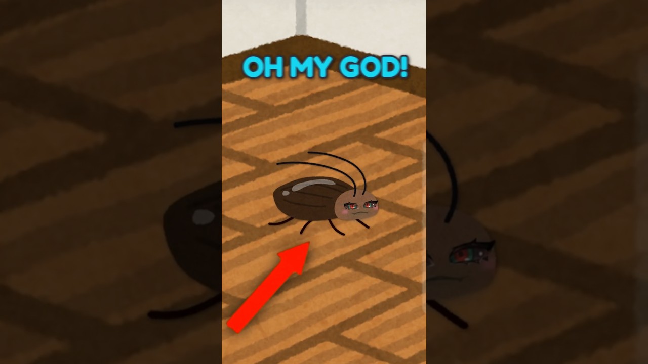 The Roach Incident.