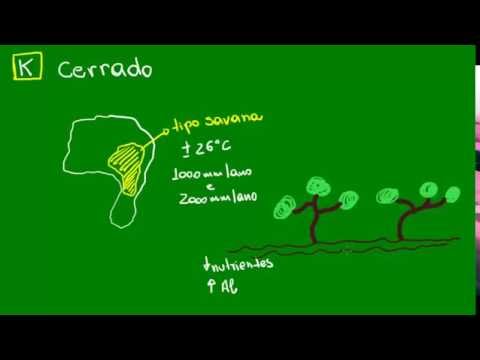 Vídeo: Extensas Transferências Horizontais De Genes Entre Fungos Patogênicos De Plantas