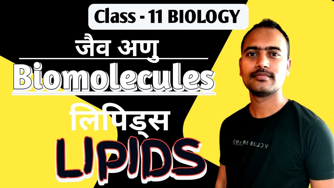 BIOMOLECULES CLASS 11 BOTANY CARBOHYDRATES AND LIPIDS जैव अणु BY