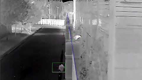 False Alarm Filter by Hikvision DeepLearning Thermal System