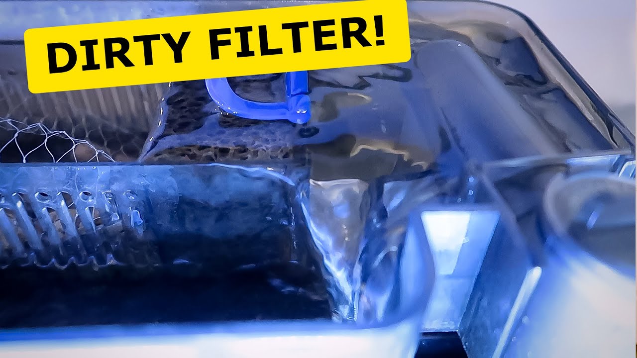 Top Fin Pro 70 Cleaning and Followup YouTube