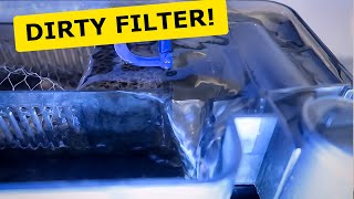 Top Fin Pro 70 Cleaning and Follow-up