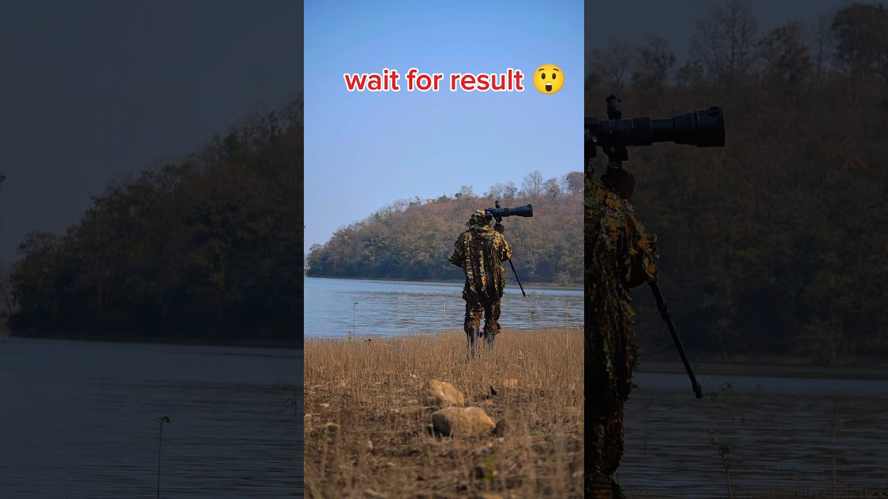 Patience of a Predator 🎯👀 